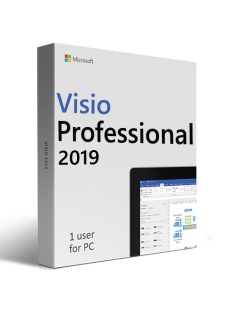   Microsoft Visio Professional 2019 (Z możliwością przeprowadzki)